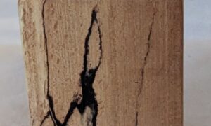 Spalted Beech Tealight Holder. 65x110mm.